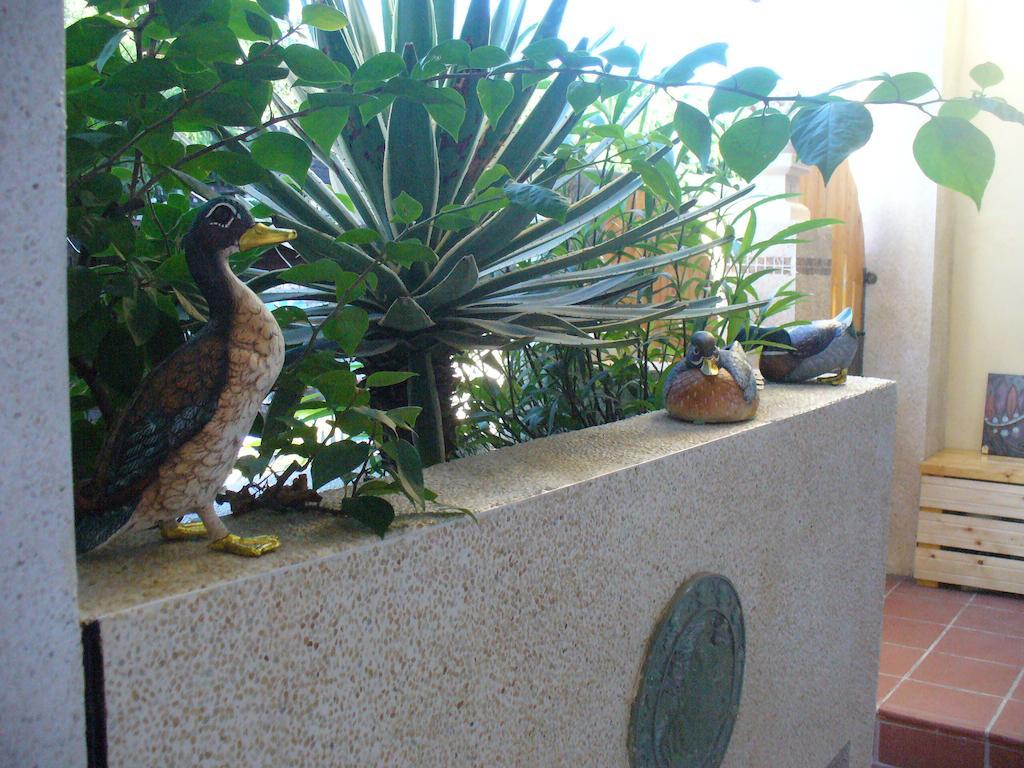 Alongs Garden Bed & Breakfast Heng-ch'un Dış mekan fotoğraf